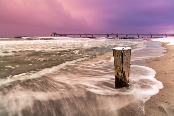 ZINGST-DAR126