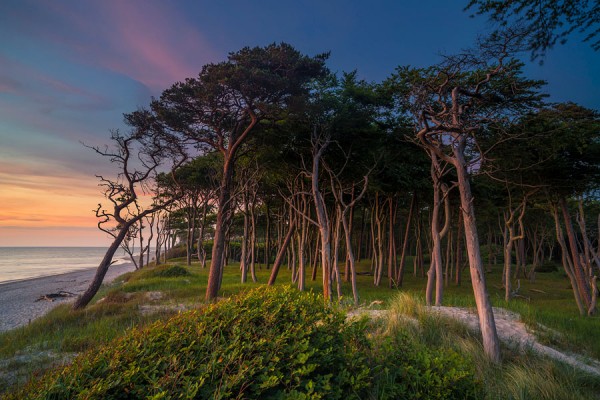 WESTSTRAND-DAR160
