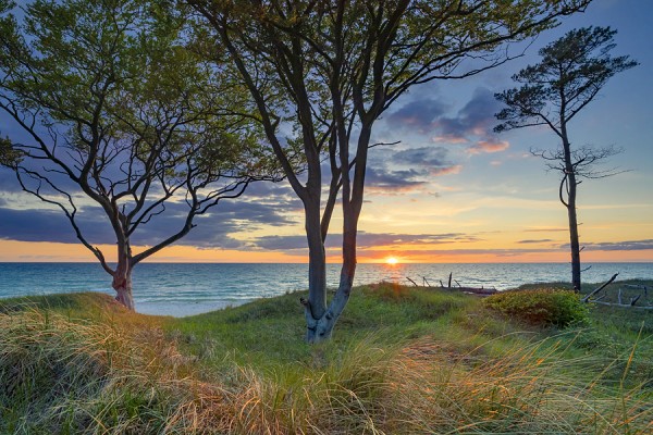 WESTSTRAND-WESTSTRAND_HP_1
