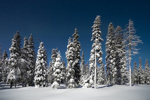 FINNLAND-FINN_44