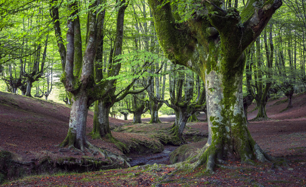 SPANIEN-SPANIEN_3
