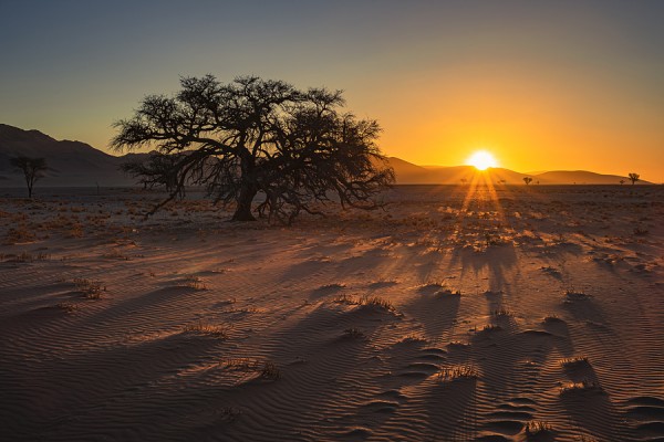 NAMIBIA-0G1A0486