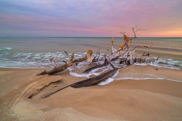 WESTSTRAND-ID3B1563