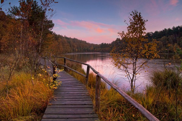 NATIONALPARK-MUE12