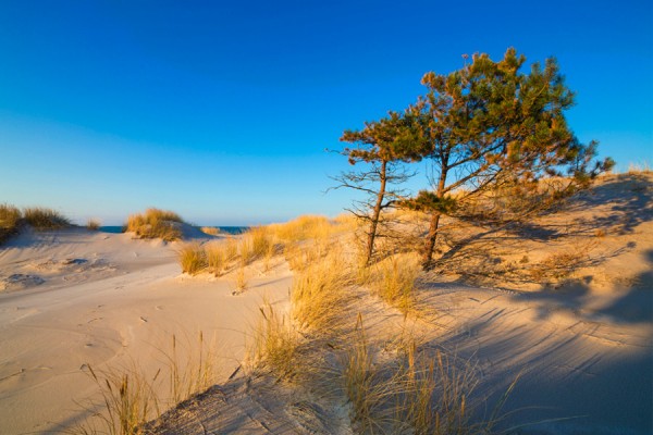 PRAMORTNORDSTRAND-_MG_0187