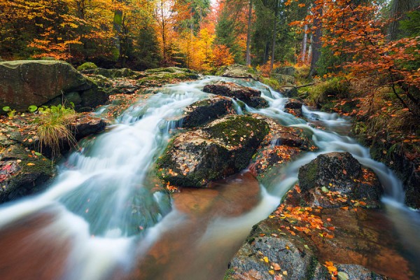 HARZ-DEU53