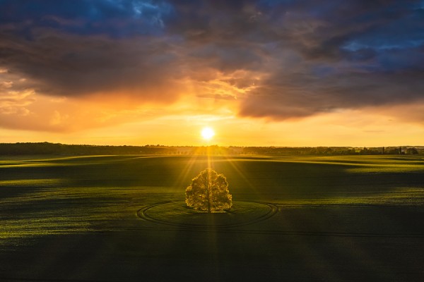 PINGELSHAGEN-DJI_0670