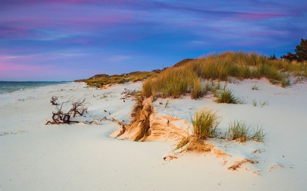 PRAMORTNORDSTRAND-DAR84