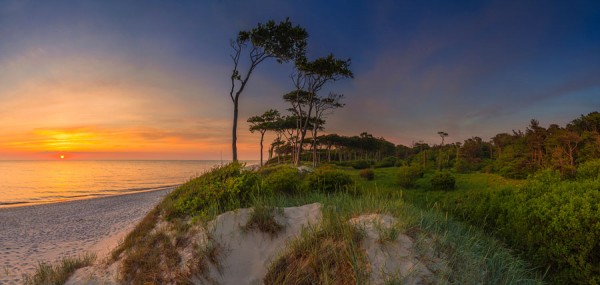 WESTSTRAND-PANO58
