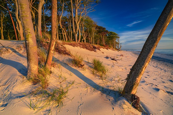 WESTSTRAND-0G1A0158