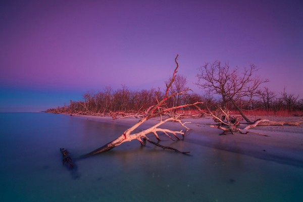 PRAMORTNORDSTRAND-DAR61