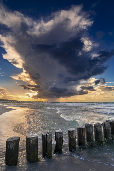 ZINGST-0G1A7898