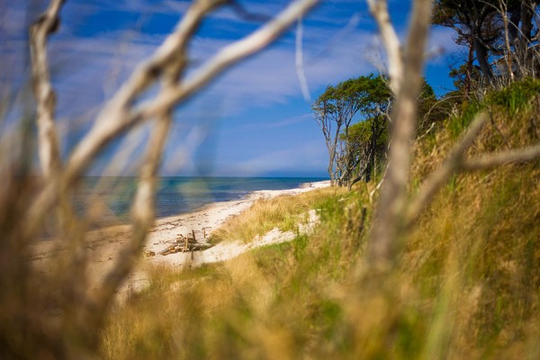 WESTSTRAND-DAR35
