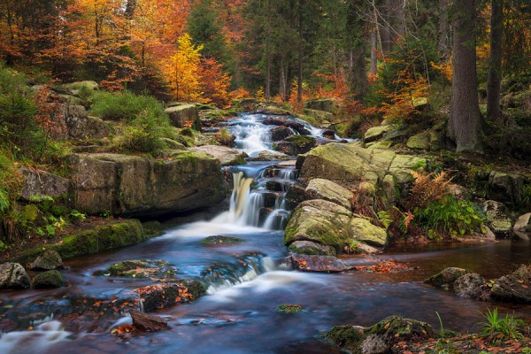 HARZ-DEU51