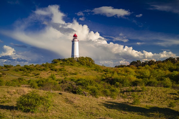HIDDENSEE-0G1A9777