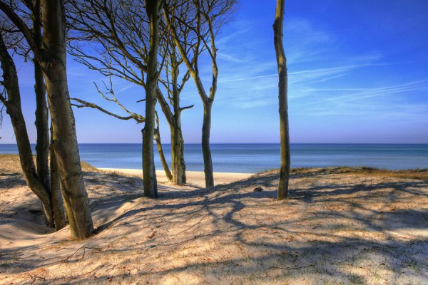 WESTSTRAND-DAR33