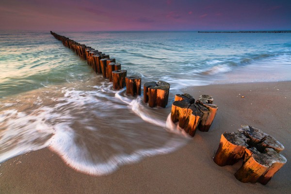 ZINGST-DAR59
