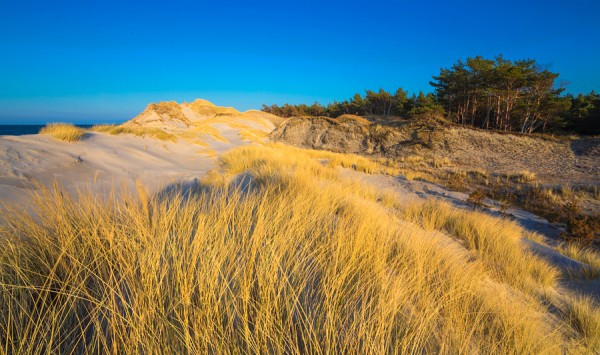 PRAMORTNORDSTRAND-_MG_0181