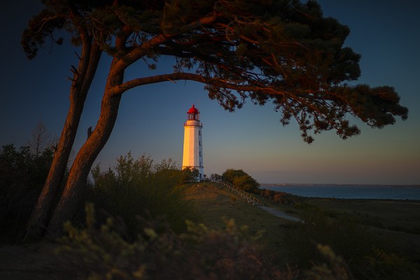 HIDDENSEE-0G1A9827