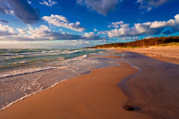 WESTSTRAND-DAR25