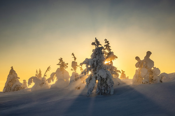 FINNLAND-_O8A3023