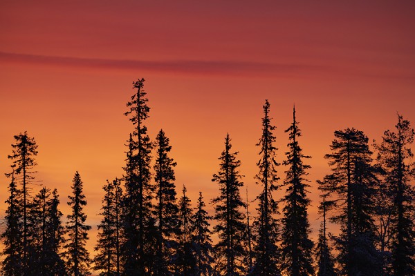 FINNLAND-FINN_46