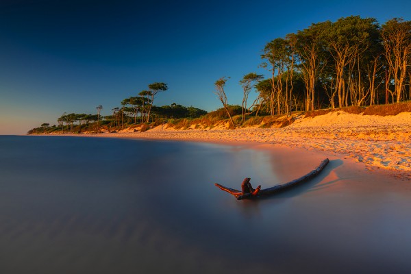 WESTSTRAND-0G1A7116