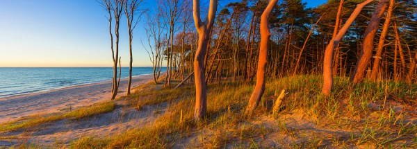 WESTSTRAND-PANO53