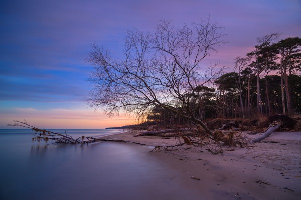 WESTSTRAND-ID3B1548