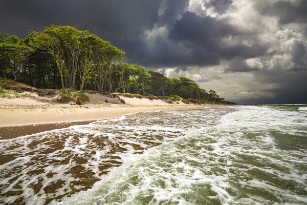 WESTSTRAND-0G1A7875