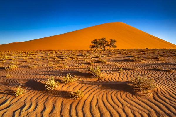 NAMIBIA-0G1A0473
