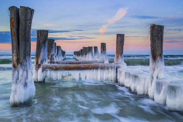 ZINGST-ID3B1579