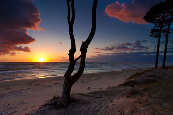 WESTSTRAND-DAR27