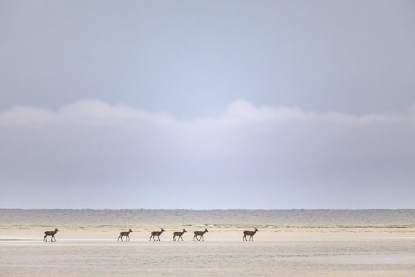 PRAMORTNORDSTRAND-0G1A9583