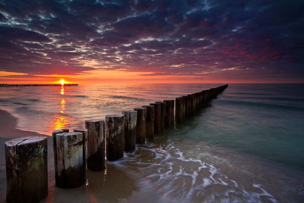 ZINGST-DAR12