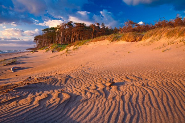 WESTSTRAND-DAR26