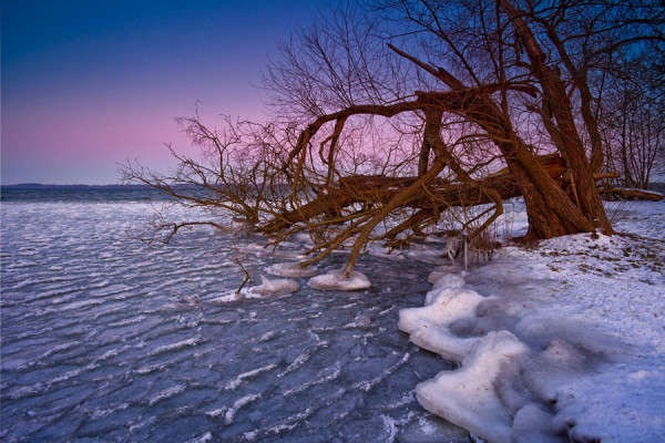 UMLAND-IMG_0017A