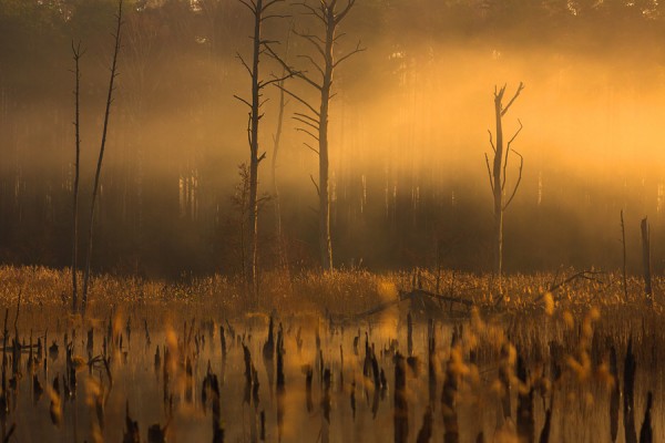 NATIONALPARK-MUE90