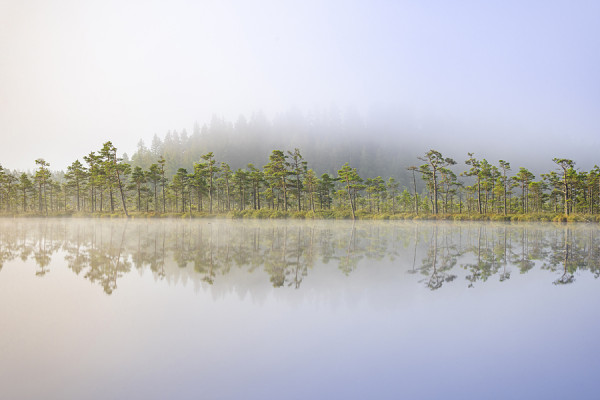 SCHWEDEN-_O8A9387