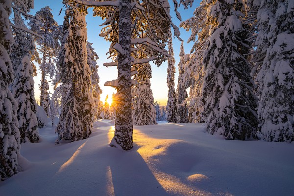 FINNLAND-FINN_23