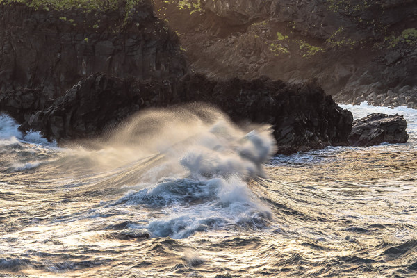 MADEIRA-MADEIRA_62