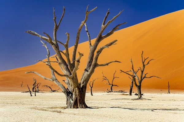 NAMIBIA-0G1A0437