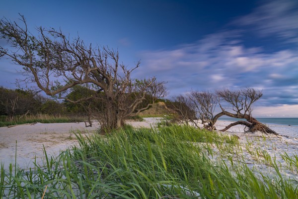 WESTSTRAND-0G1A0208
