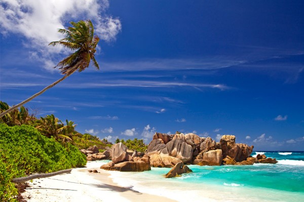 SEYCHELLEN-FERN4