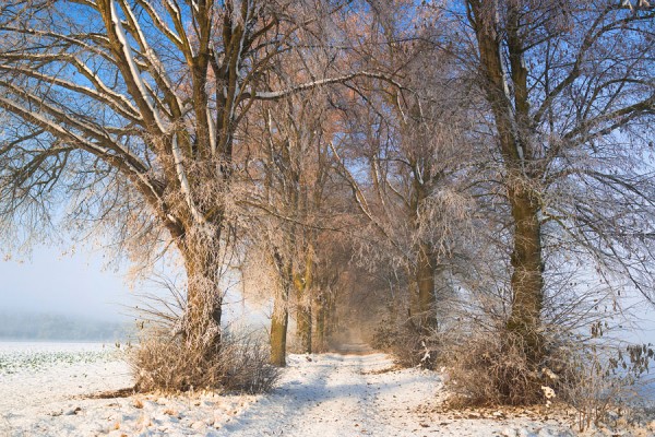DIVERSES-ID3B1049