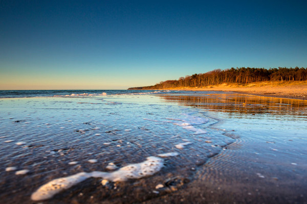 WESTSTRAND-DAR73