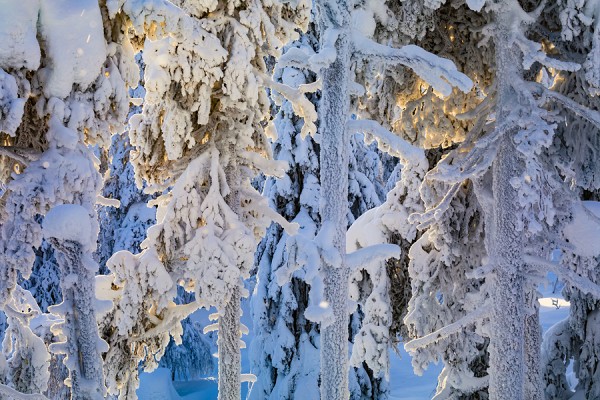 FINNLAND-FINN_33