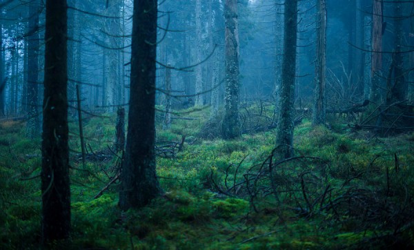 HARZ-DEU66