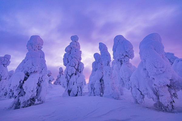 FINNLAND-FINN_9