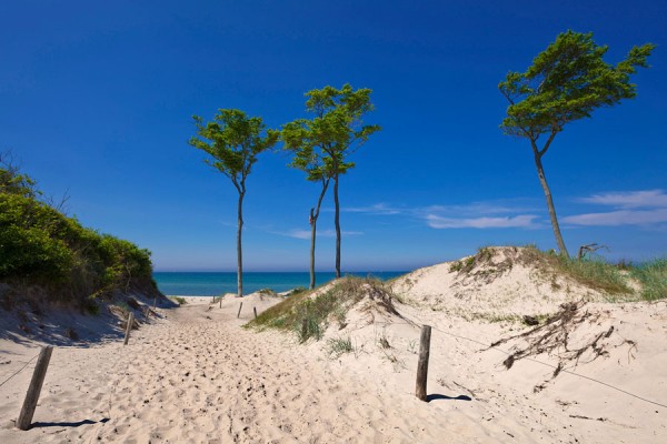 WESTSTRAND-DAR46